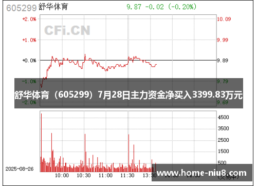舒华体育（605299）7月28日主力资金净买入3399.83万元